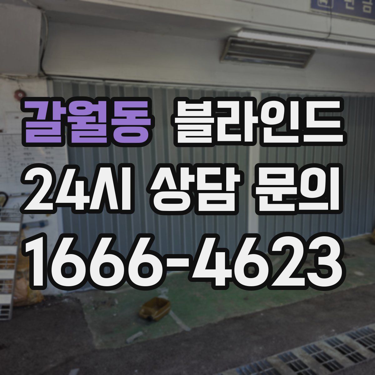 갈월동 블라인드