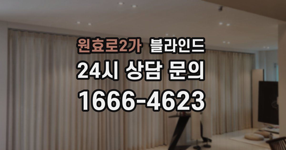 원효로2가 블라인드