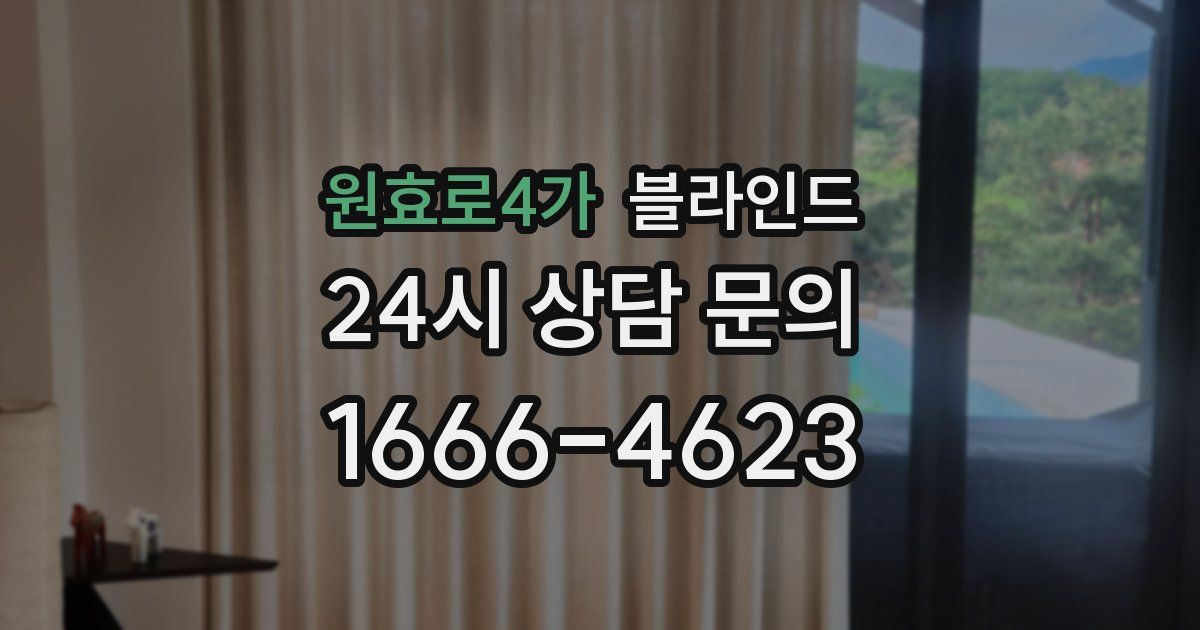 원효로4가 블라인드