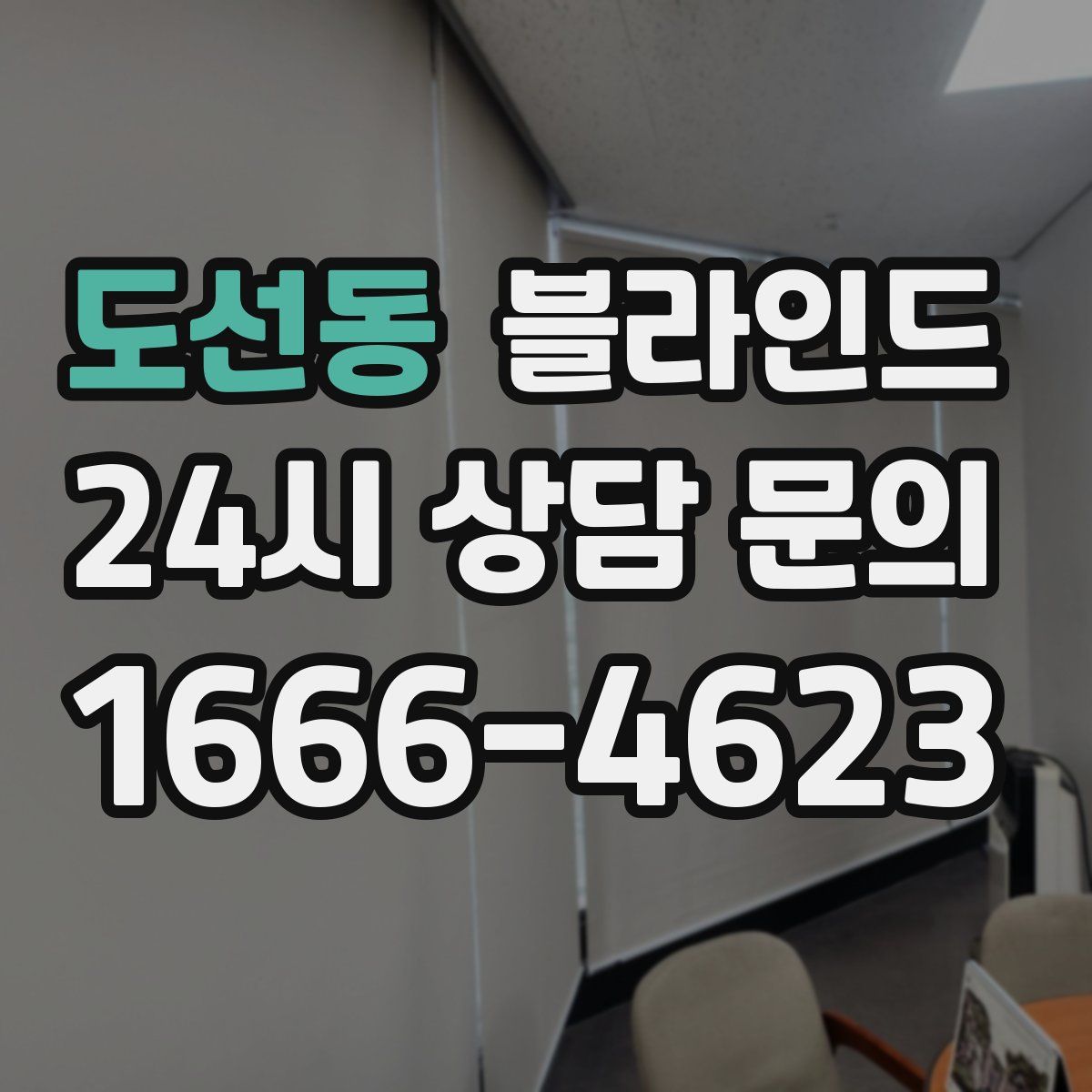 도선동 블라인드
