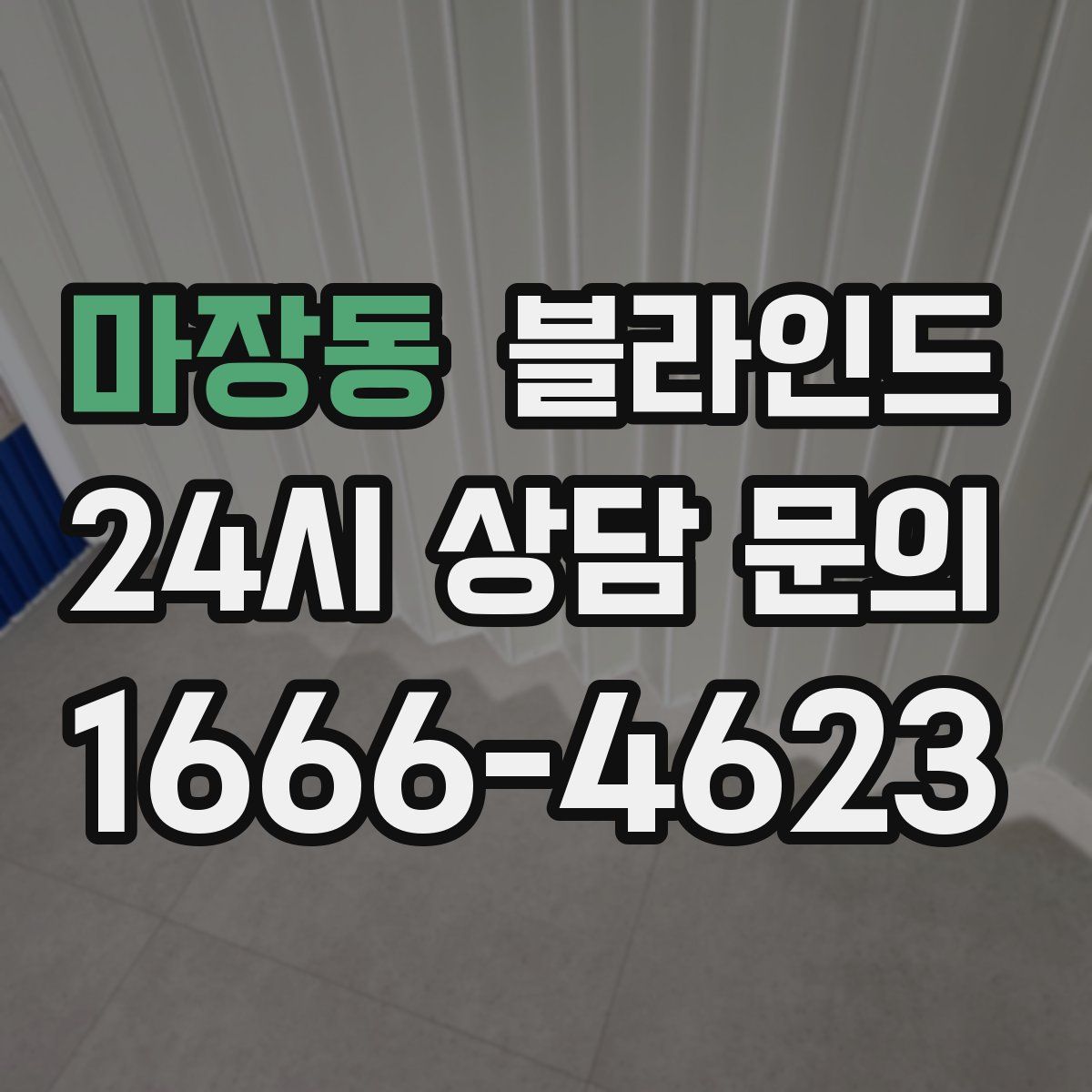 마장동 블라인드