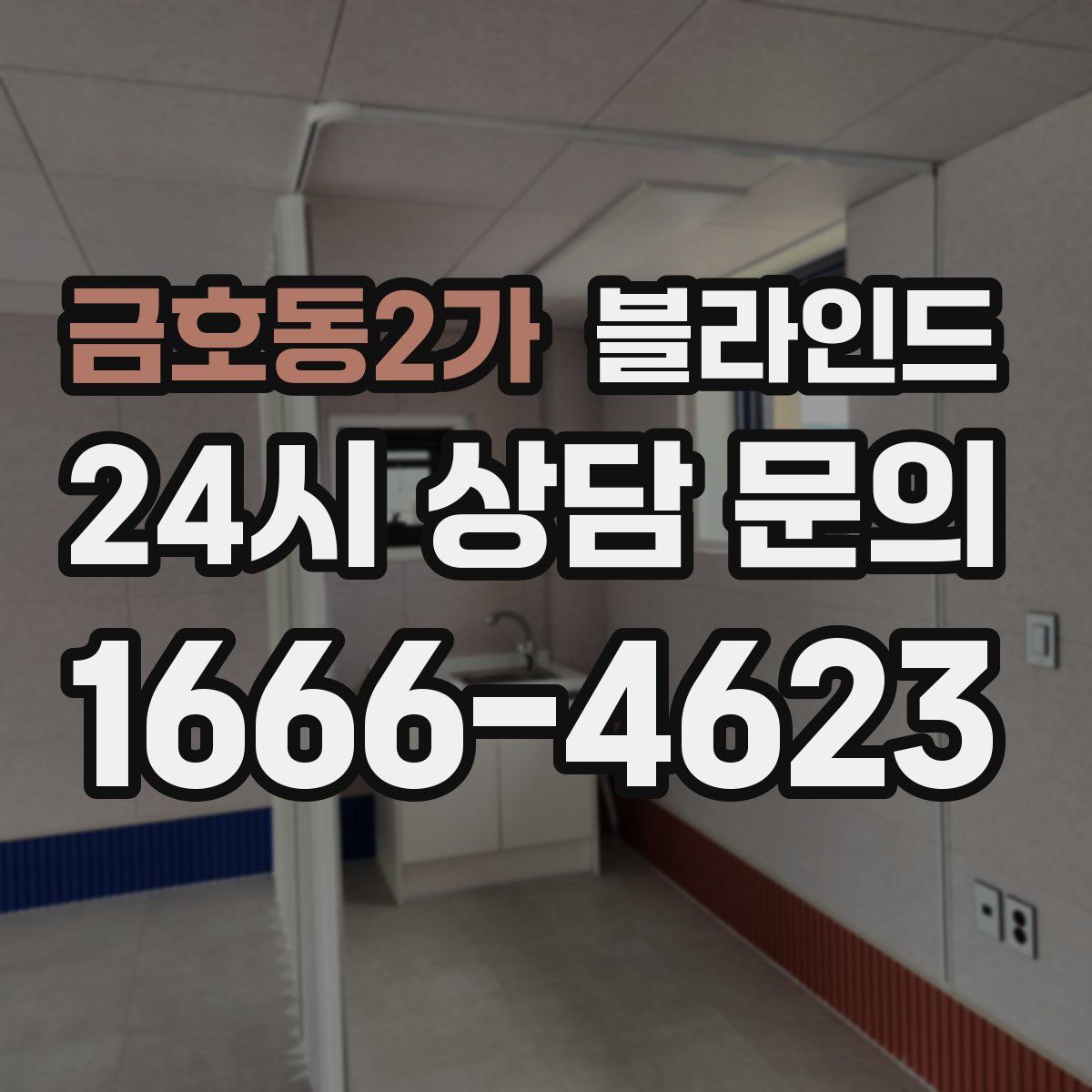 금호동2가 블라인드