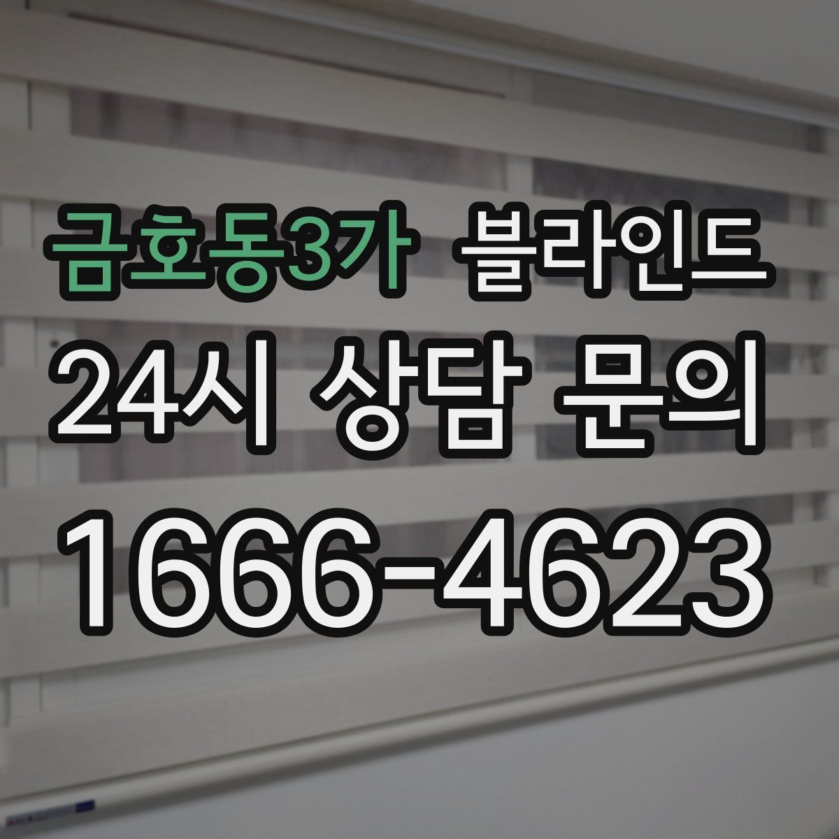금호동3가 블라인드