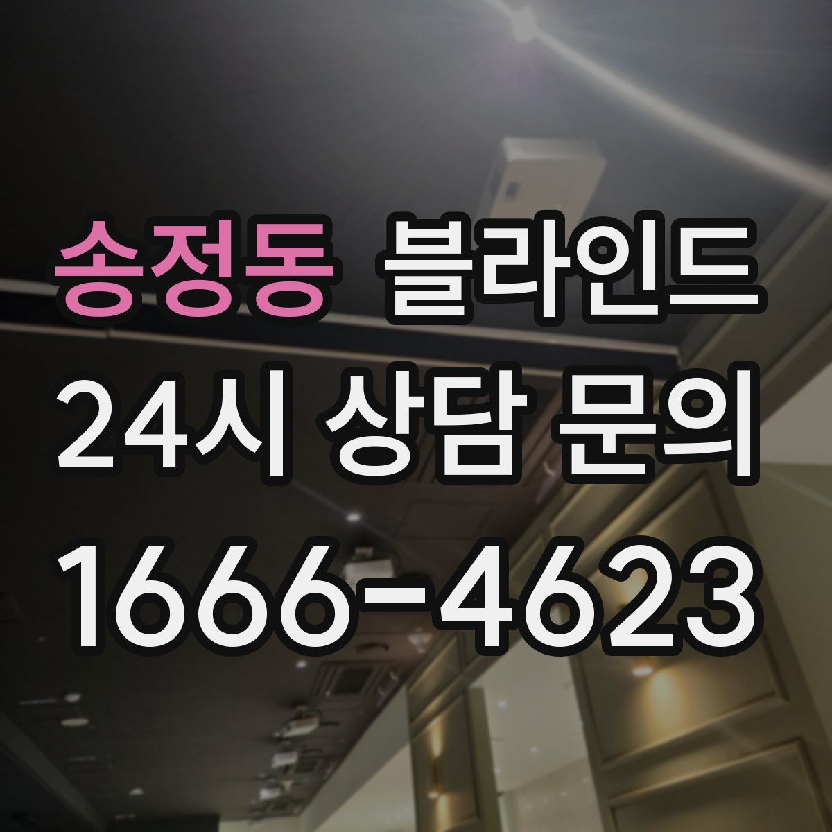 송정동 블라인드