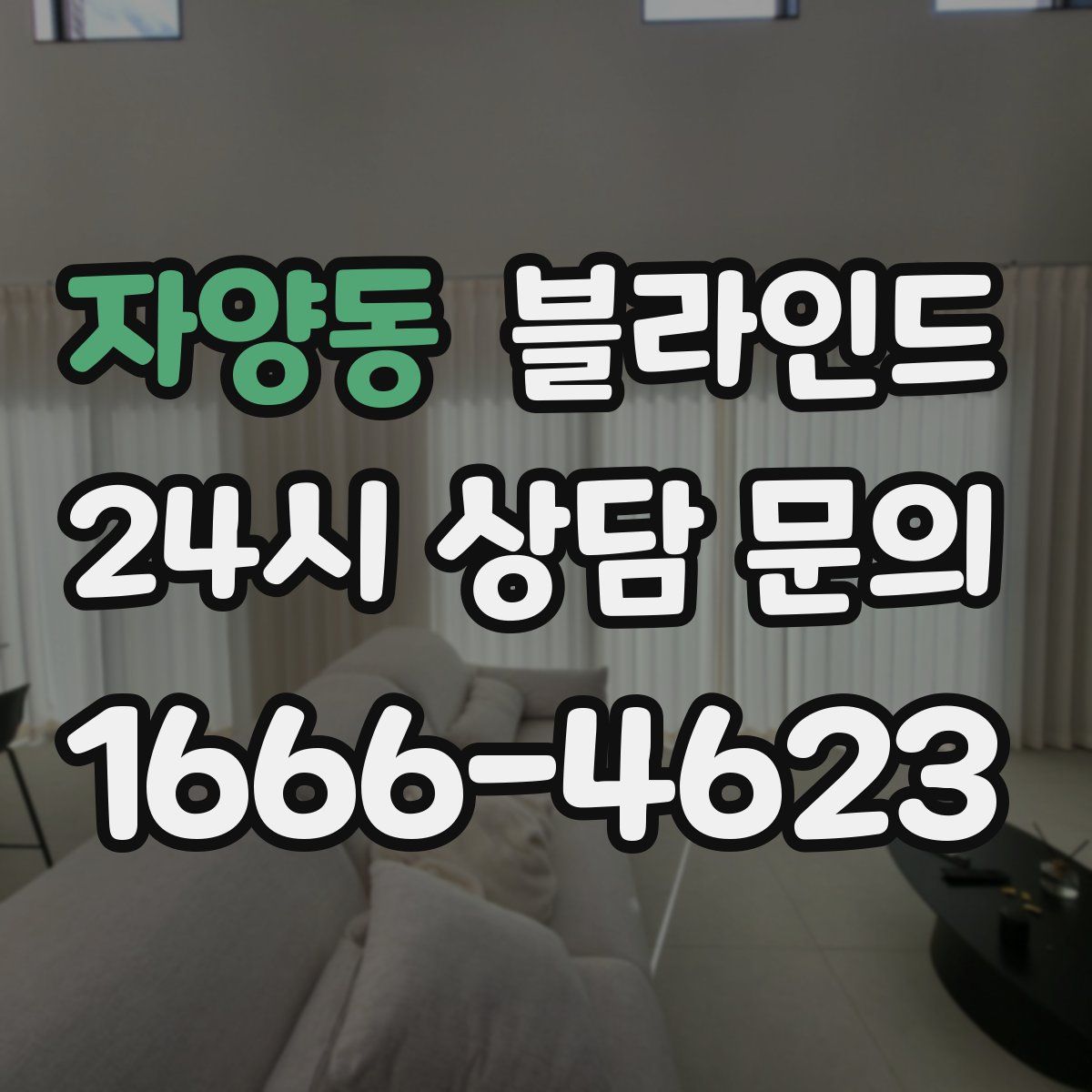 자양동 블라인드