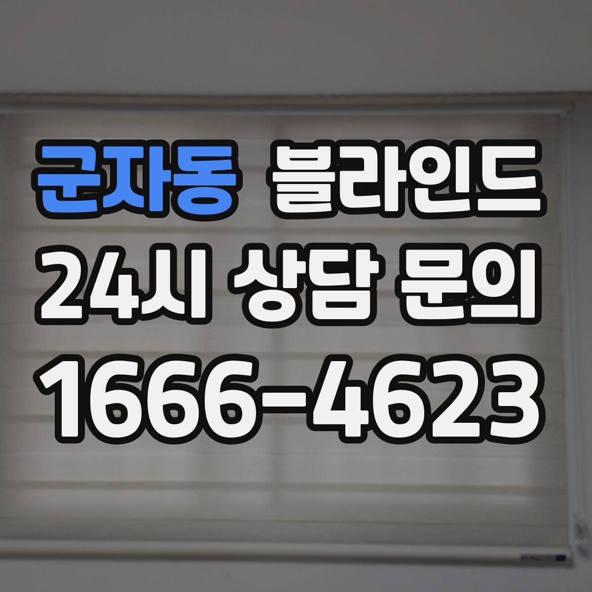 군자동 블라인드