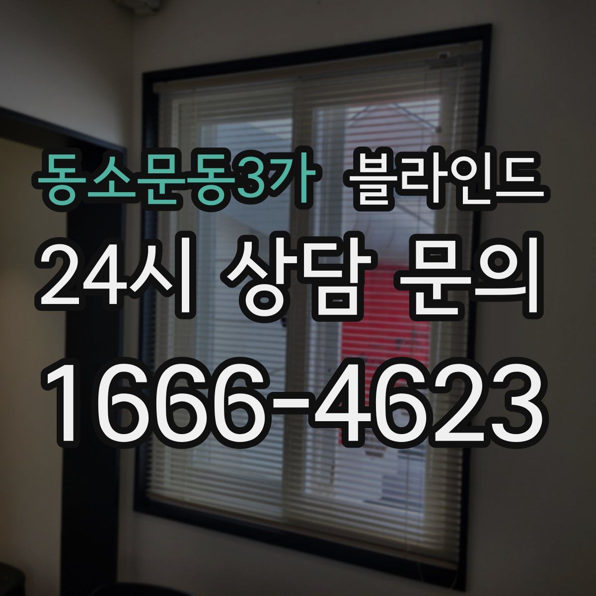 동소문동3가 블라인드