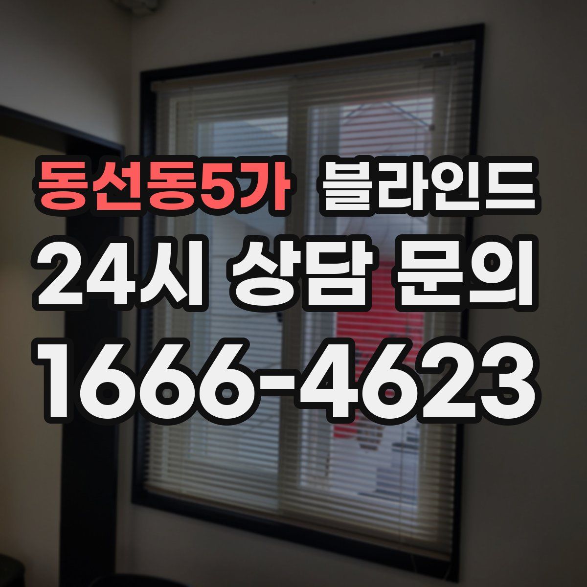 동선동5가 블라인드