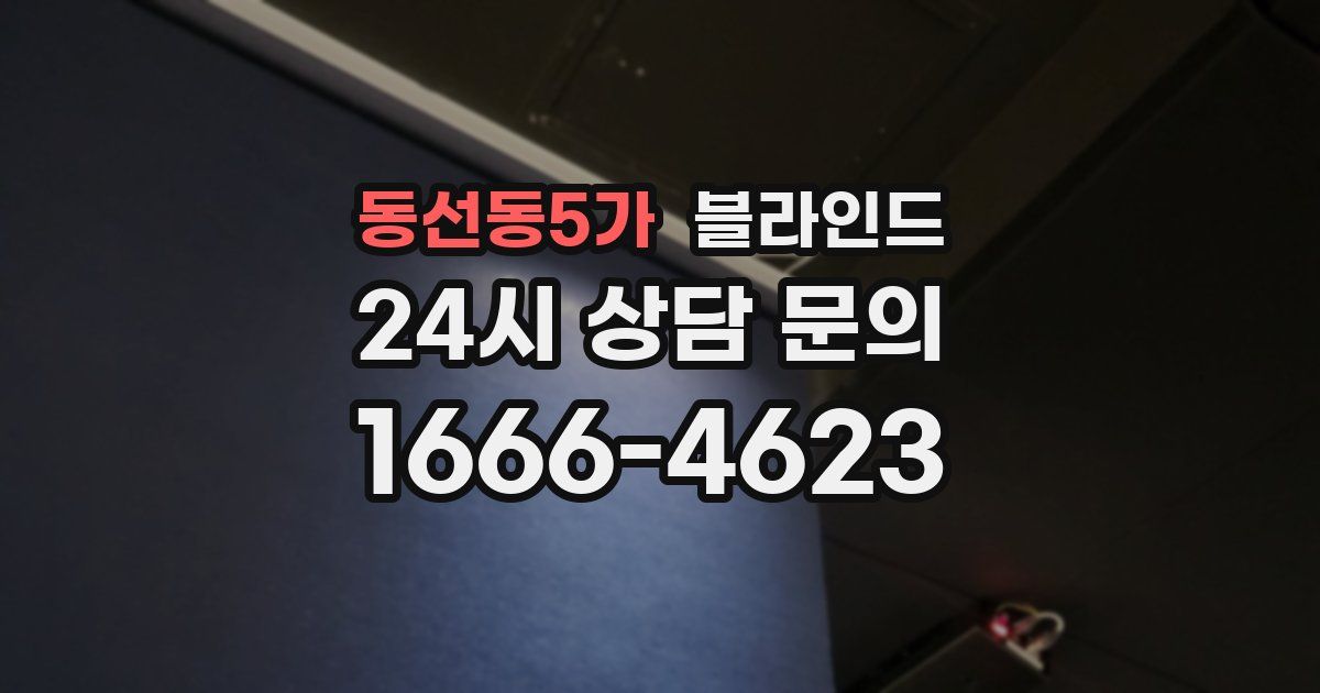 동선동5가 블라인드