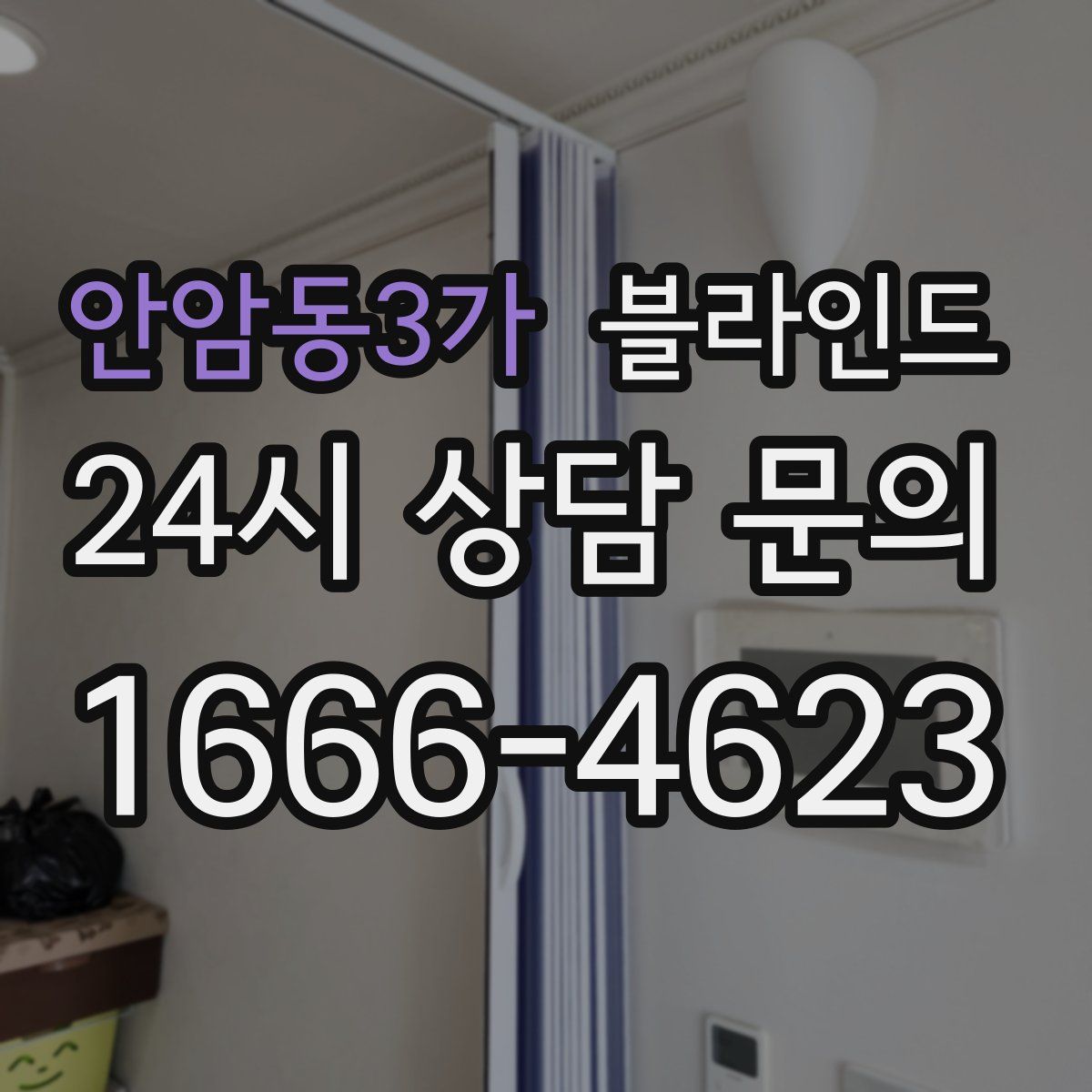 안암동3가 블라인드