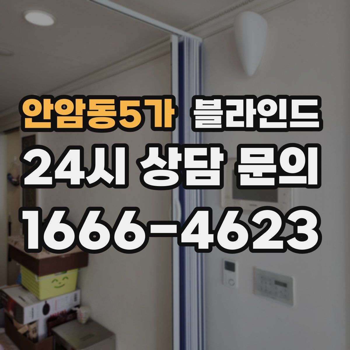 안암동5가 블라인드