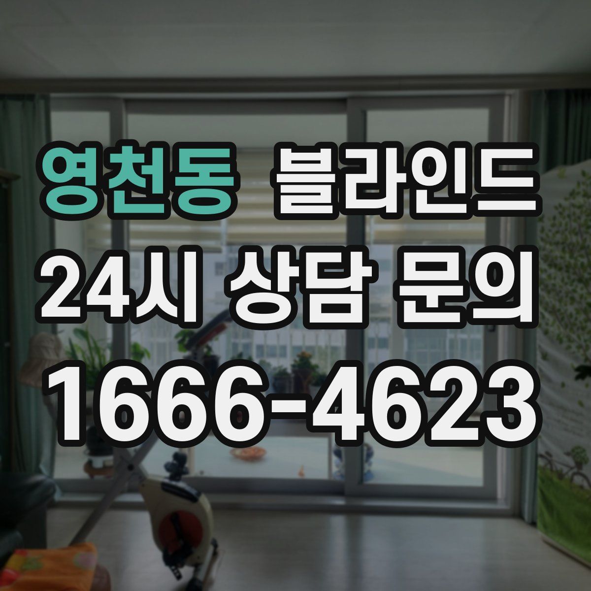영천동 블라인드