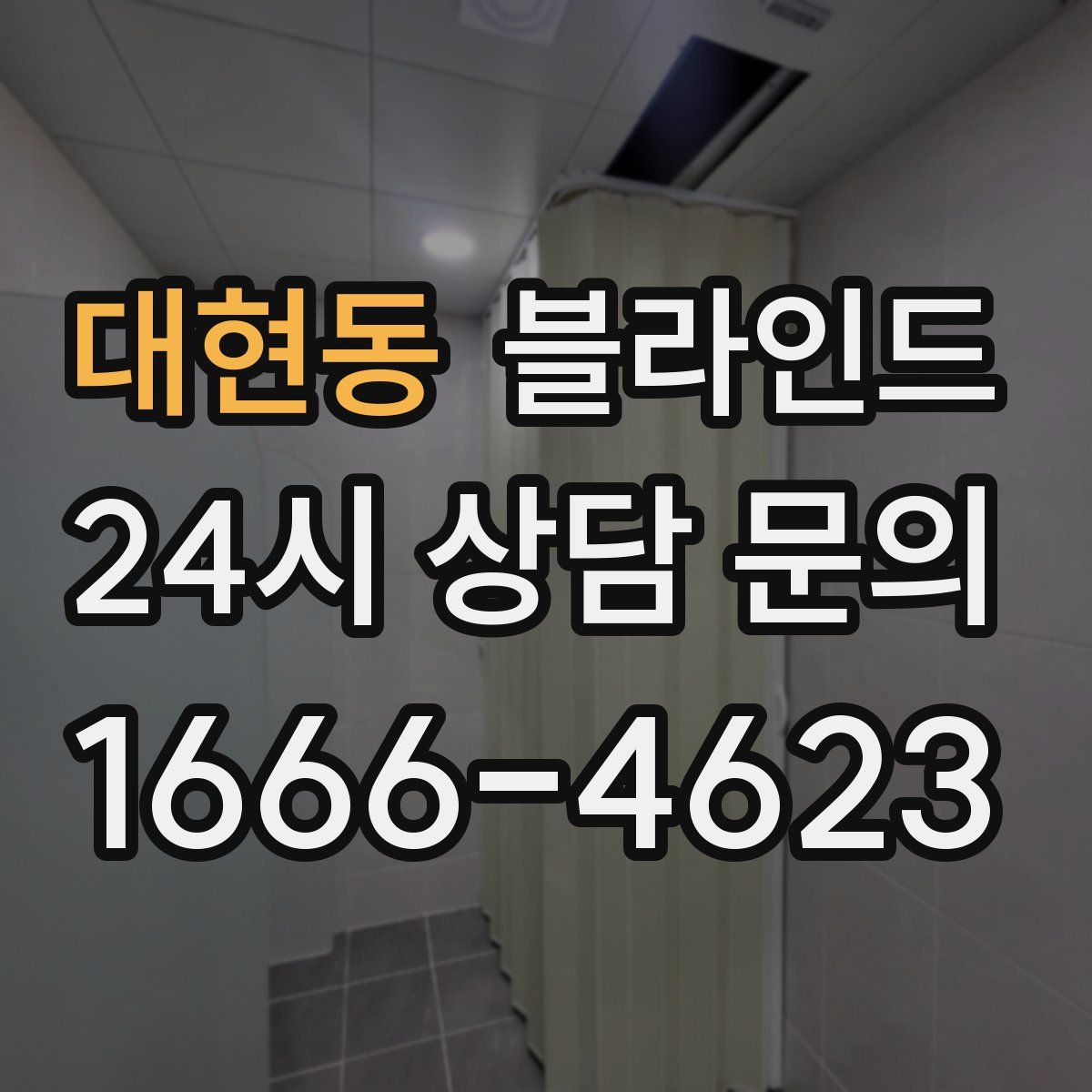 대현동 블라인드