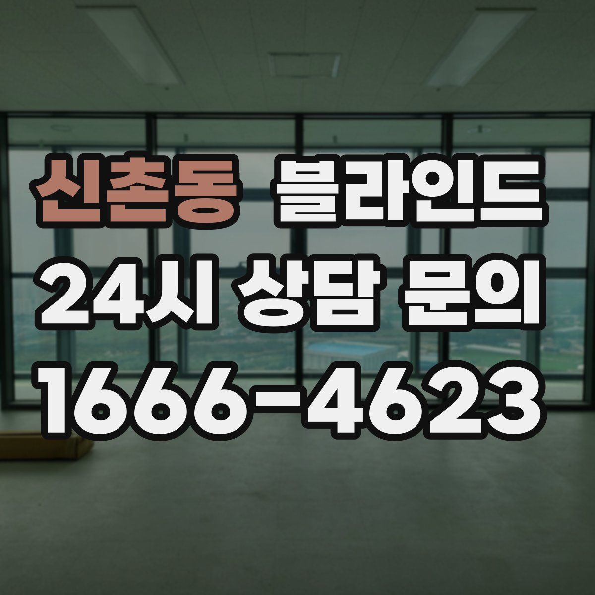 신촌동 블라인드