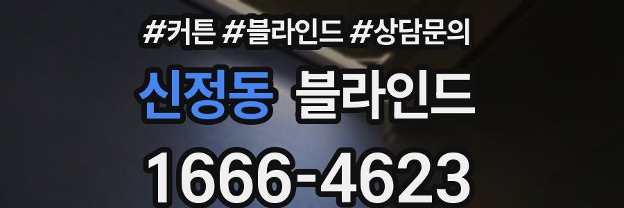 신정동 블라인드