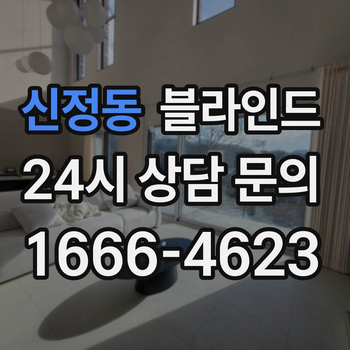 신정동 블라인드