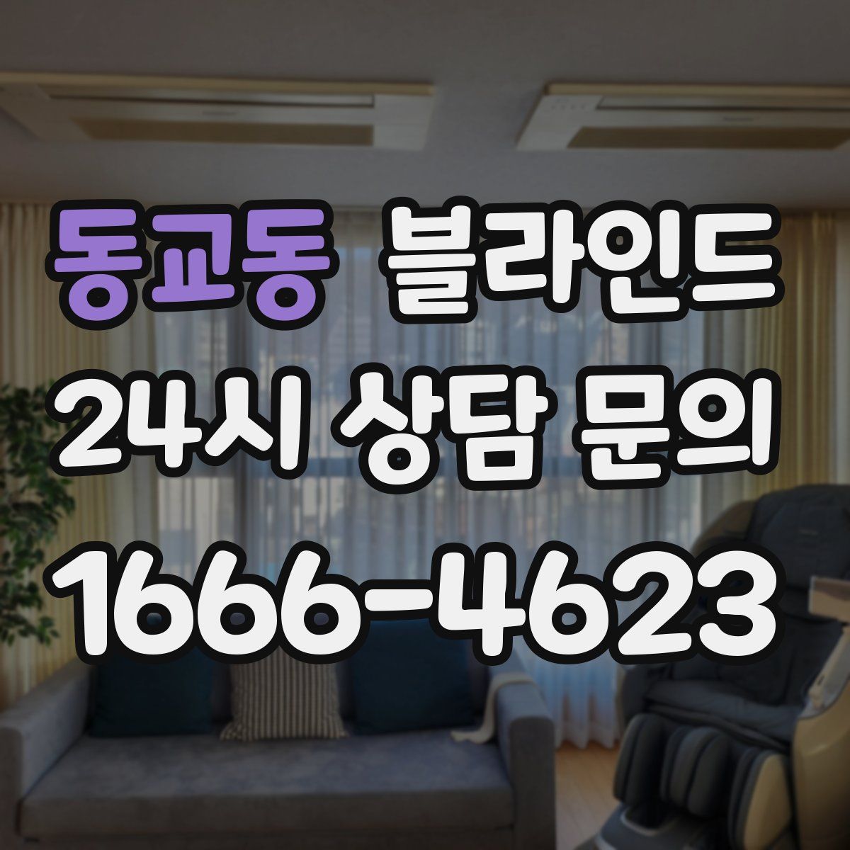 동교동 블라인드
