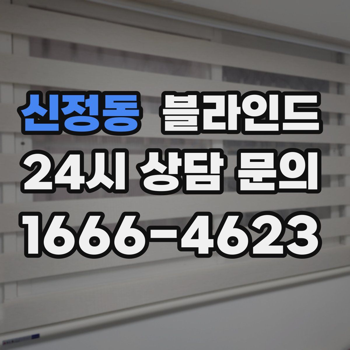 신정동 블라인드