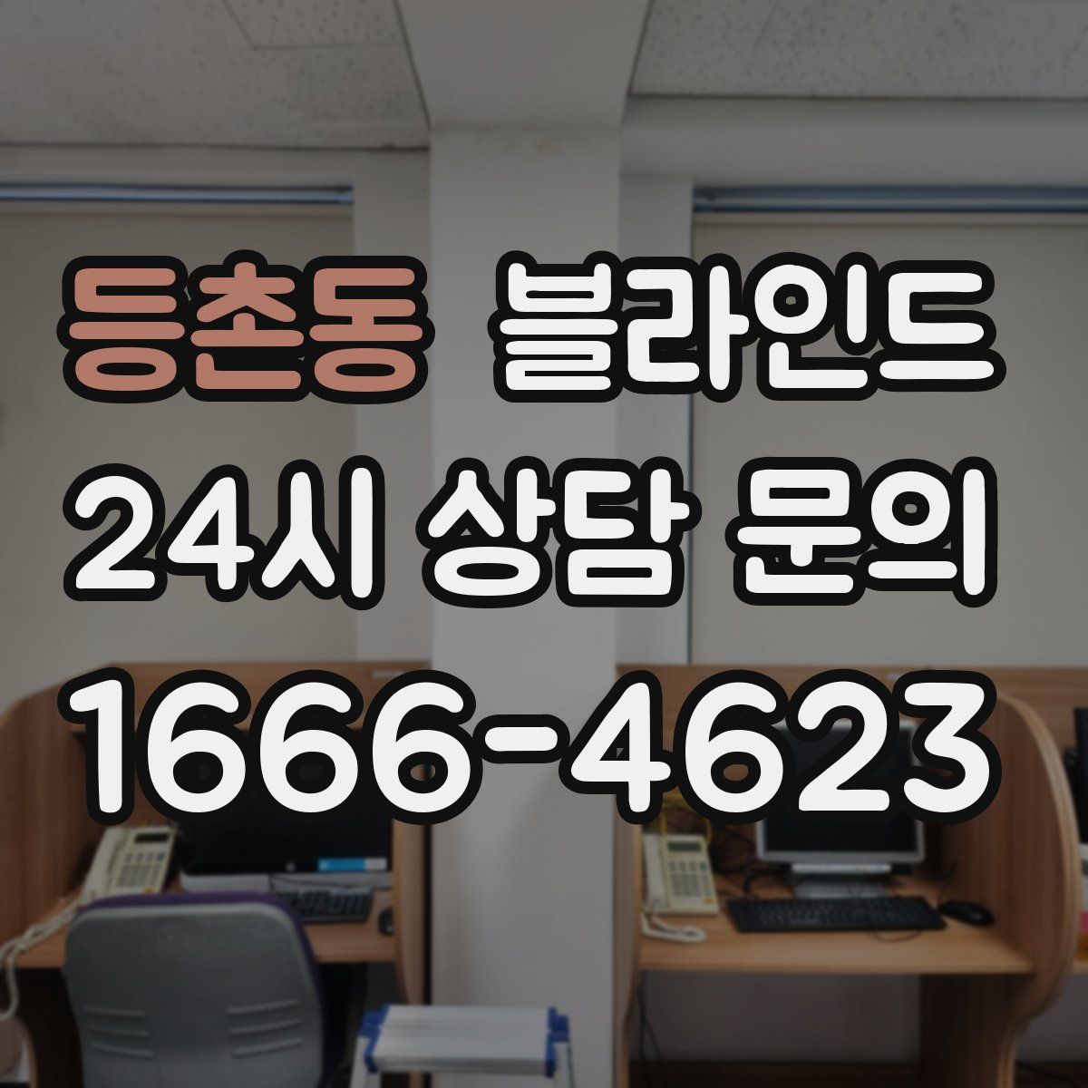 등촌동 블라인드