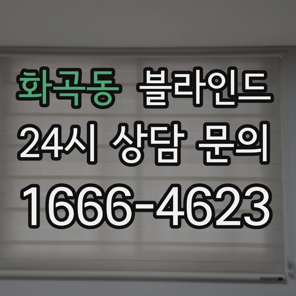 화곡동 블라인드