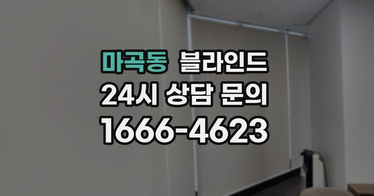 마곡동 블라인드