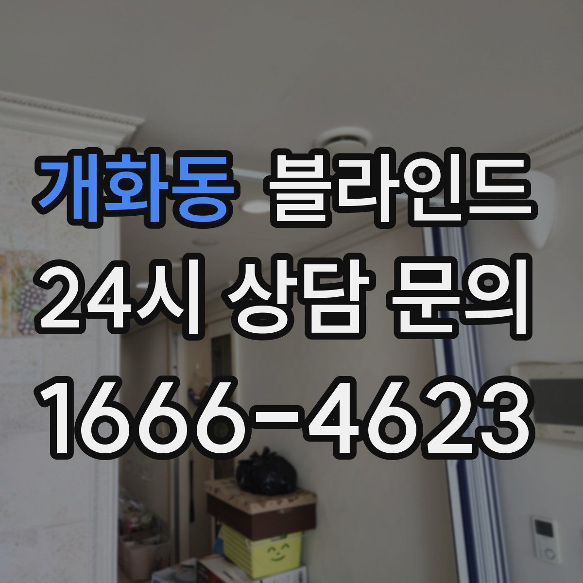 개화동 블라인드