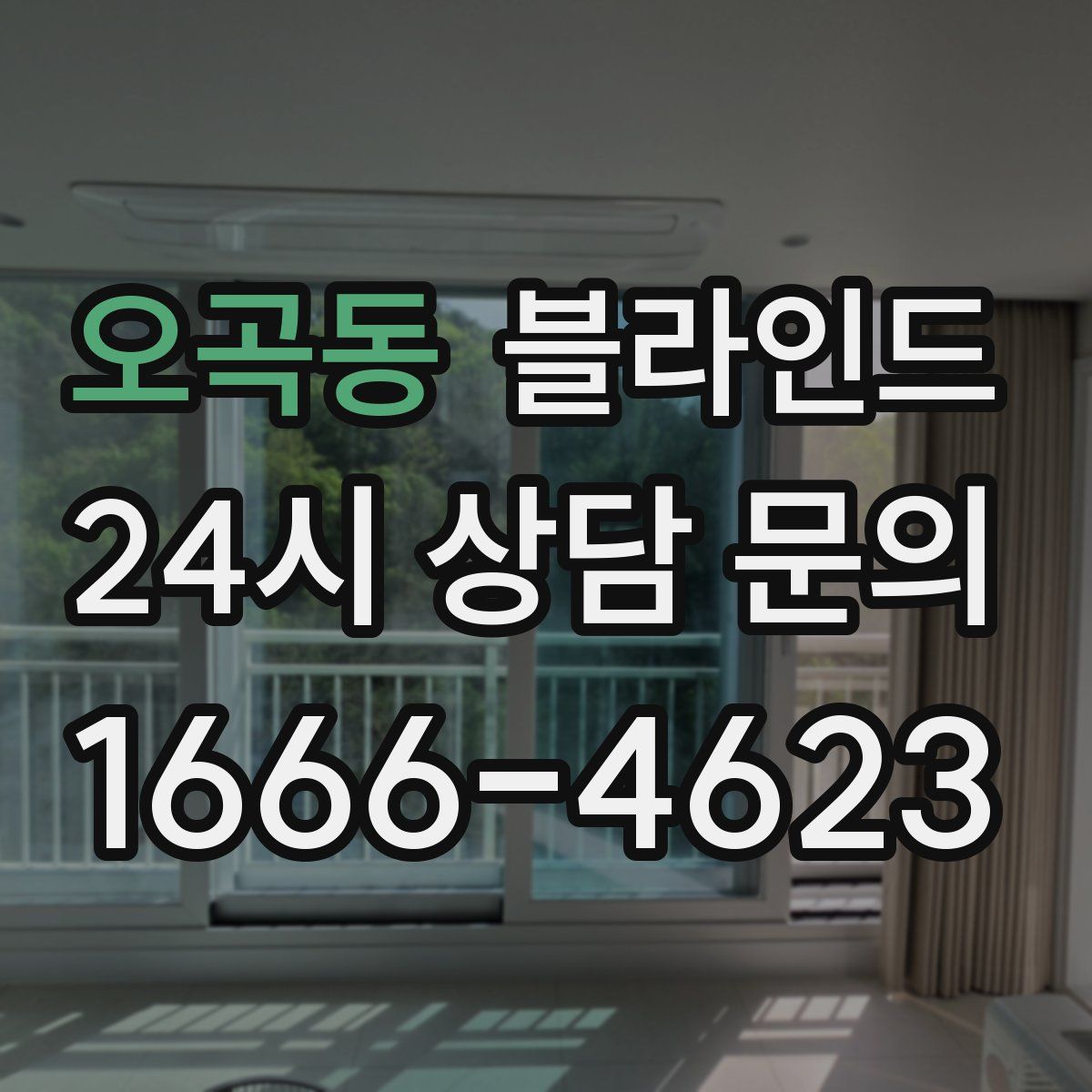 오곡동 블라인드