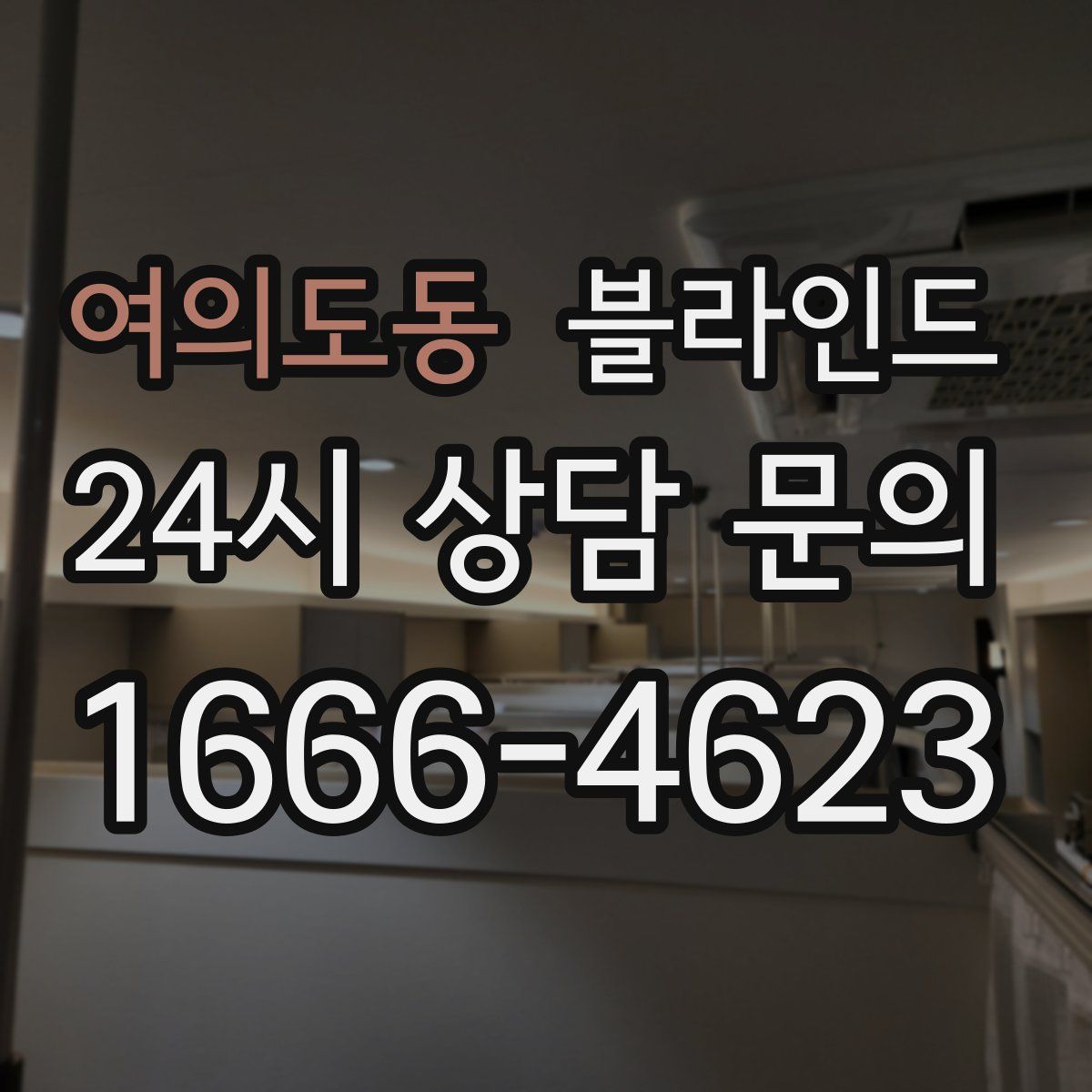 여의도동 블라인드