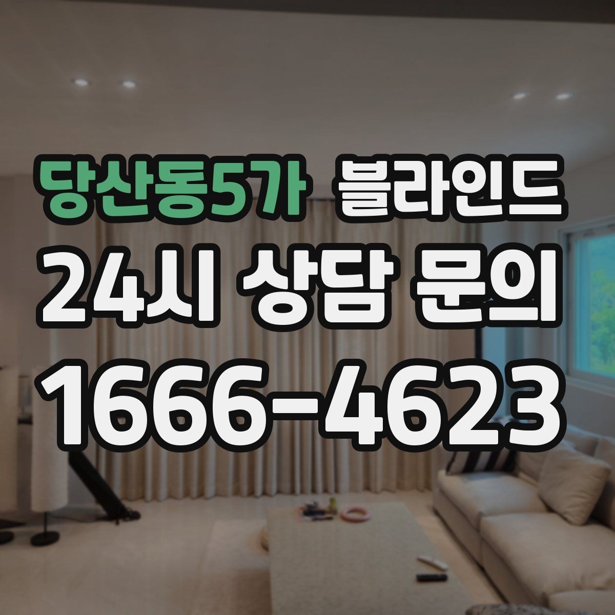 당산동5가 블라인드 빛 조절이 중요한 집이라면