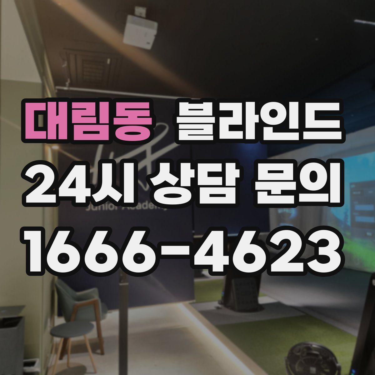 대림동 블라인드