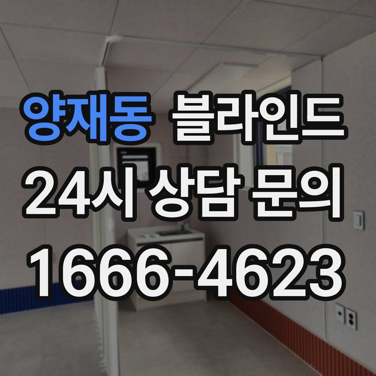 양재동 블라인드