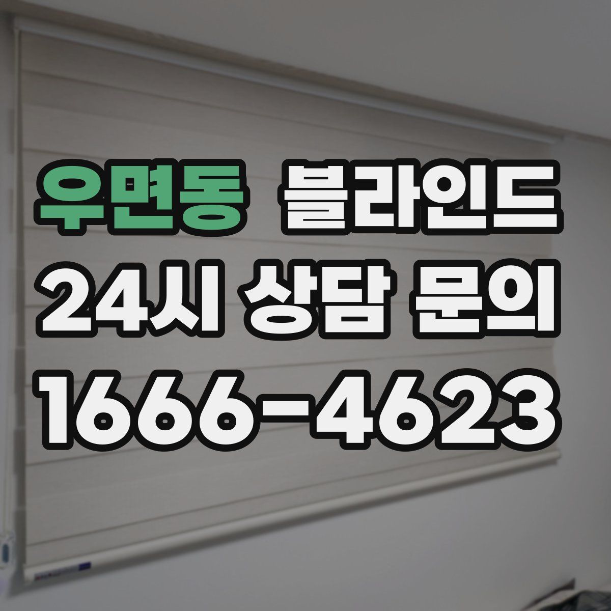 우면동 블라인드