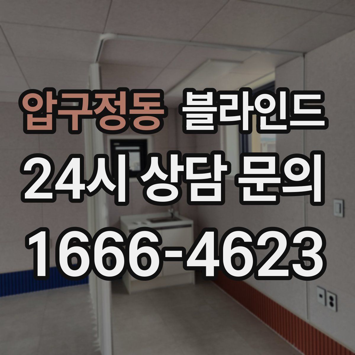 압구정동 블라인드