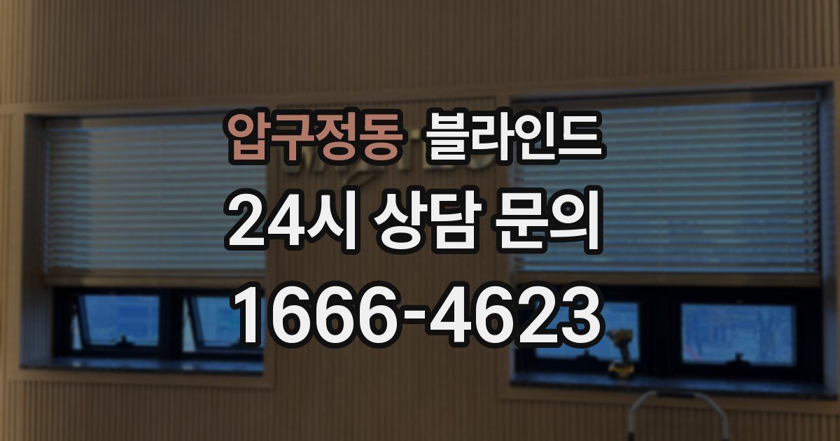 압구정동 블라인드