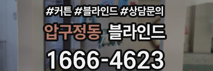 압구정동 블라인드