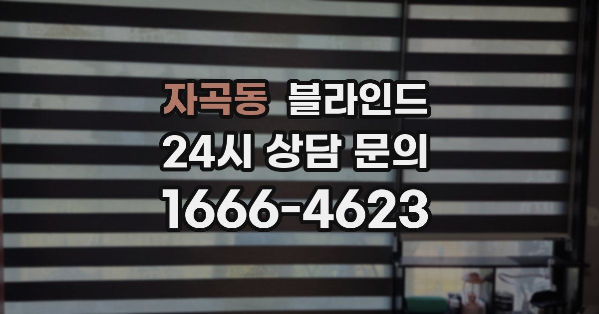 자곡동 블라인드