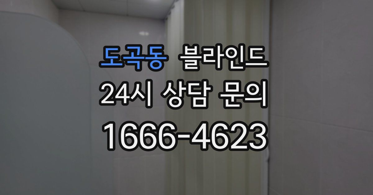 도곡동 블라인드