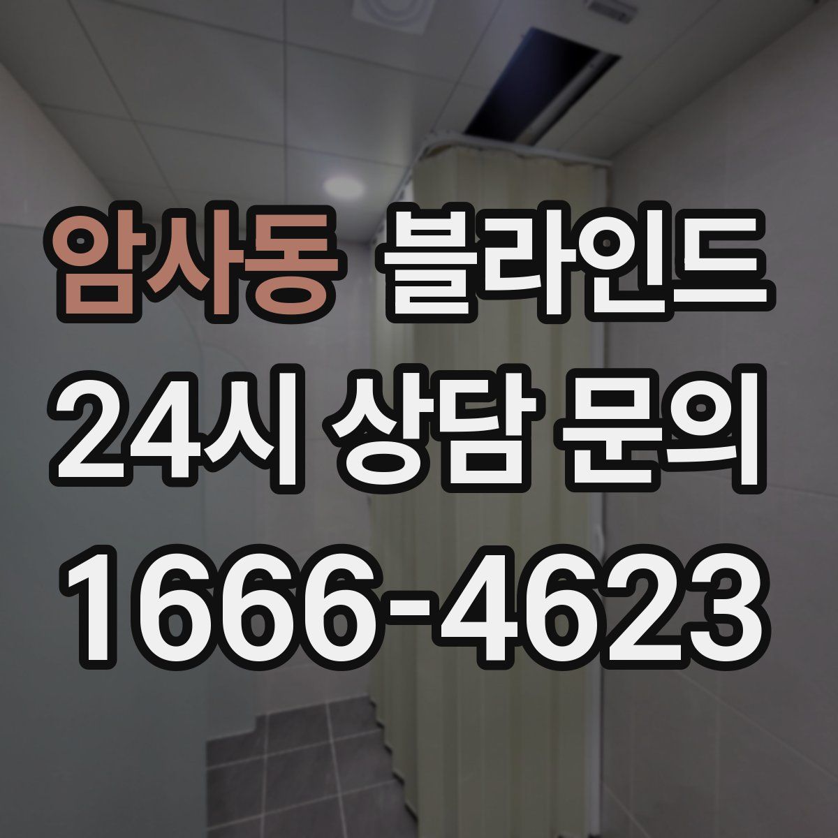 암사동 블라인드