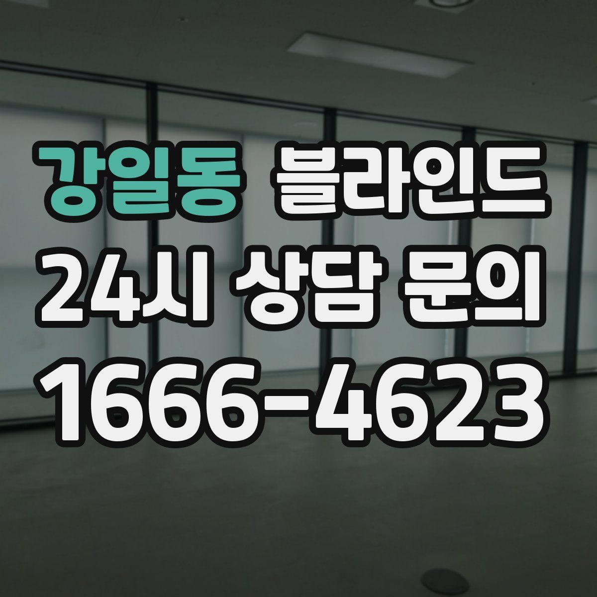강일동 블라인드