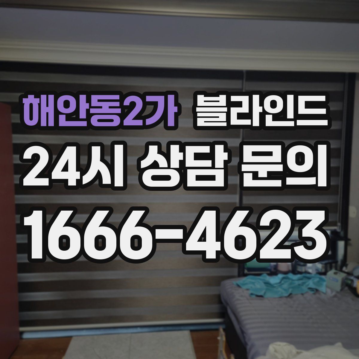 해안동2가 블라인드