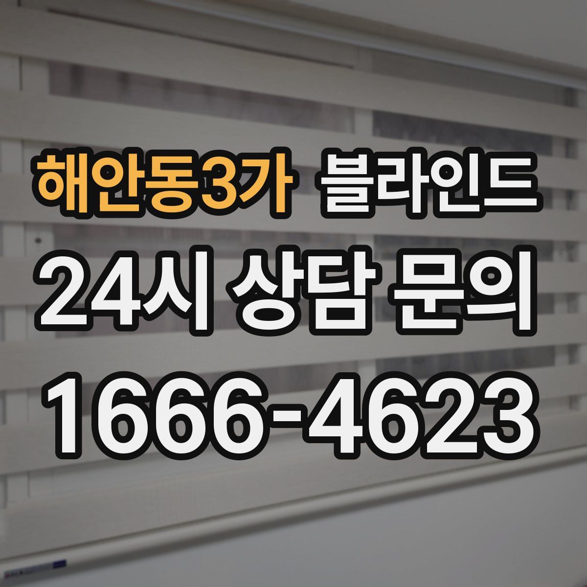 해안동3가 블라인드
