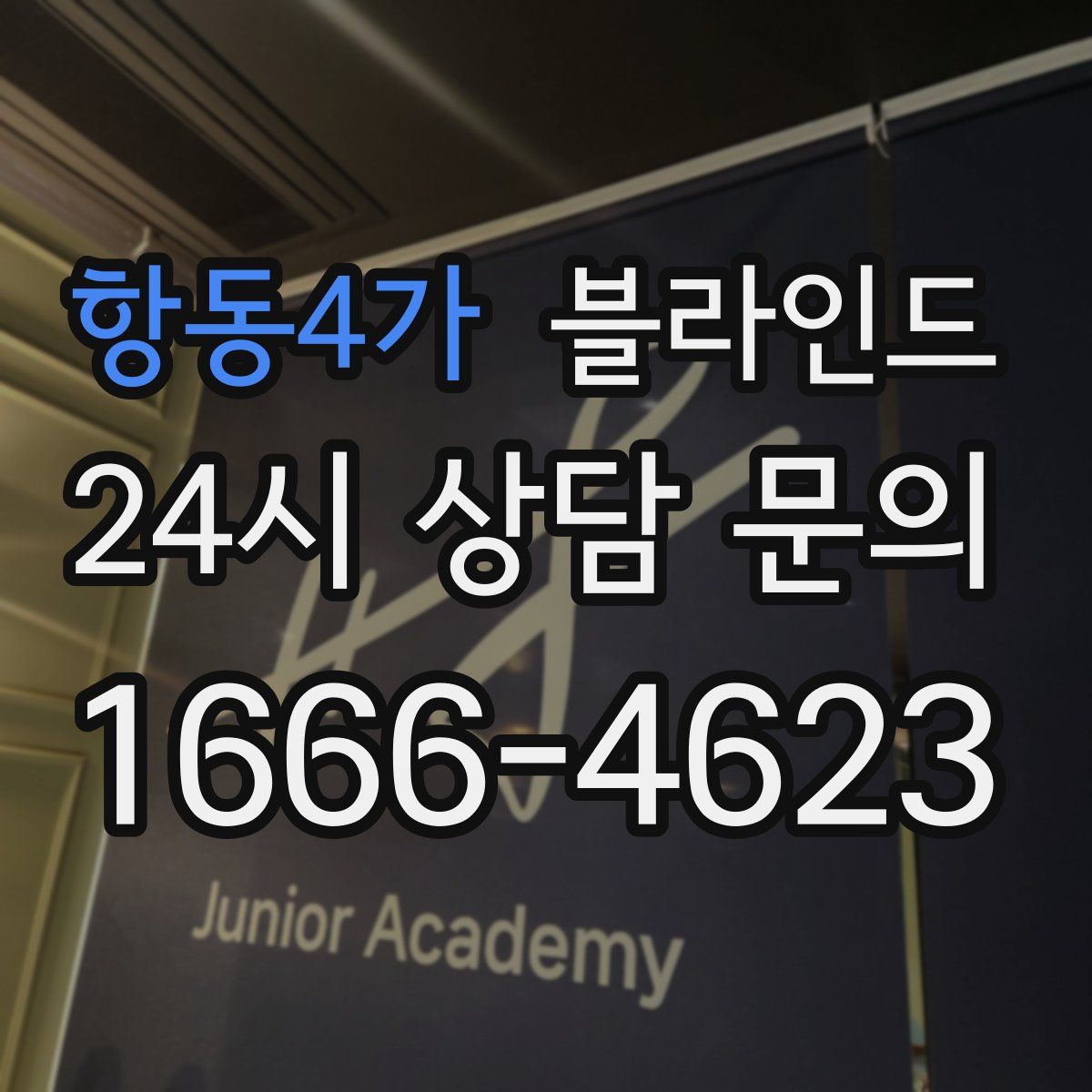 항동4가 블라인드