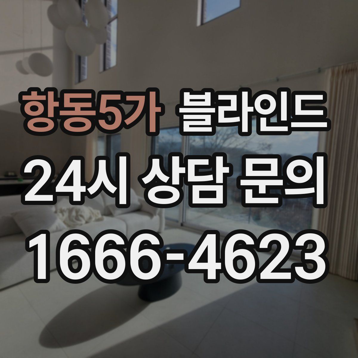 항동5가 블라인드