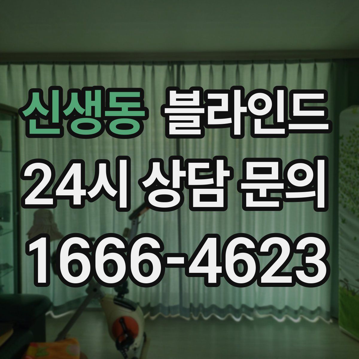 신생동 블라인드