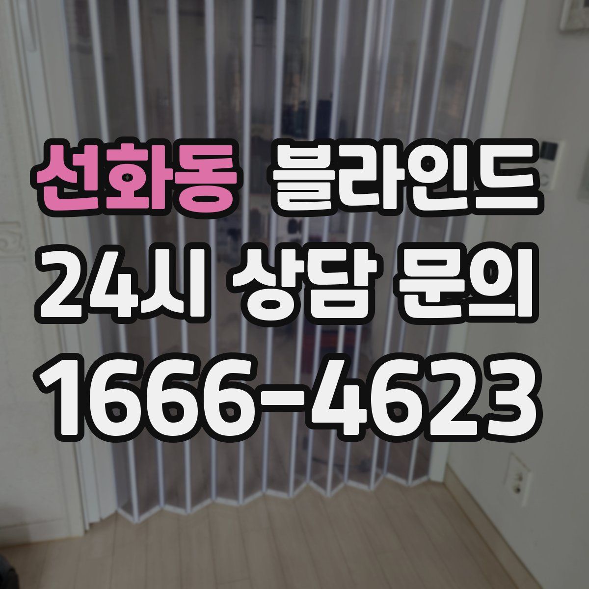 선화동 블라인드