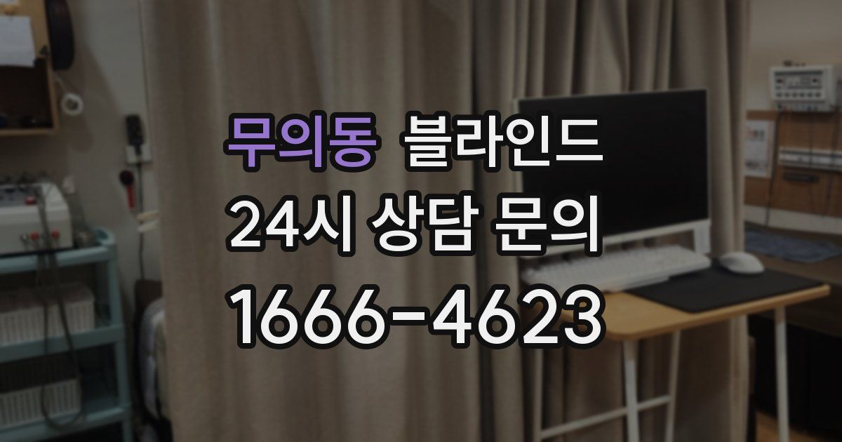 무의동 블라인드