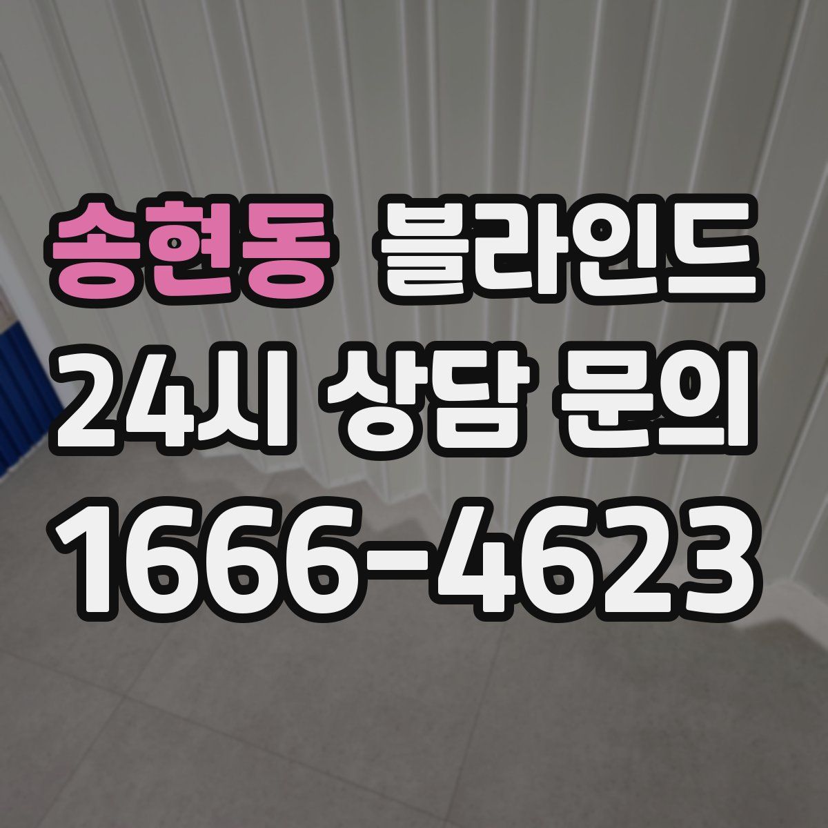 송현동 블라인드