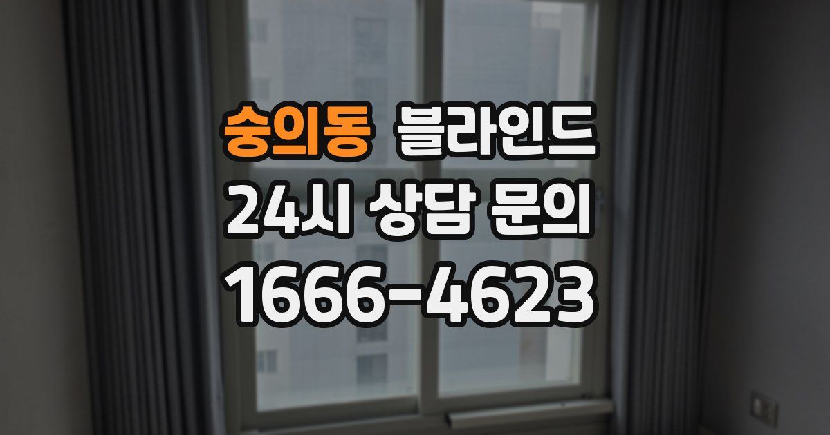 숭의동 블라인드