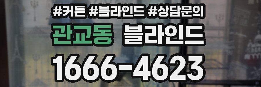 관교동 블라인드