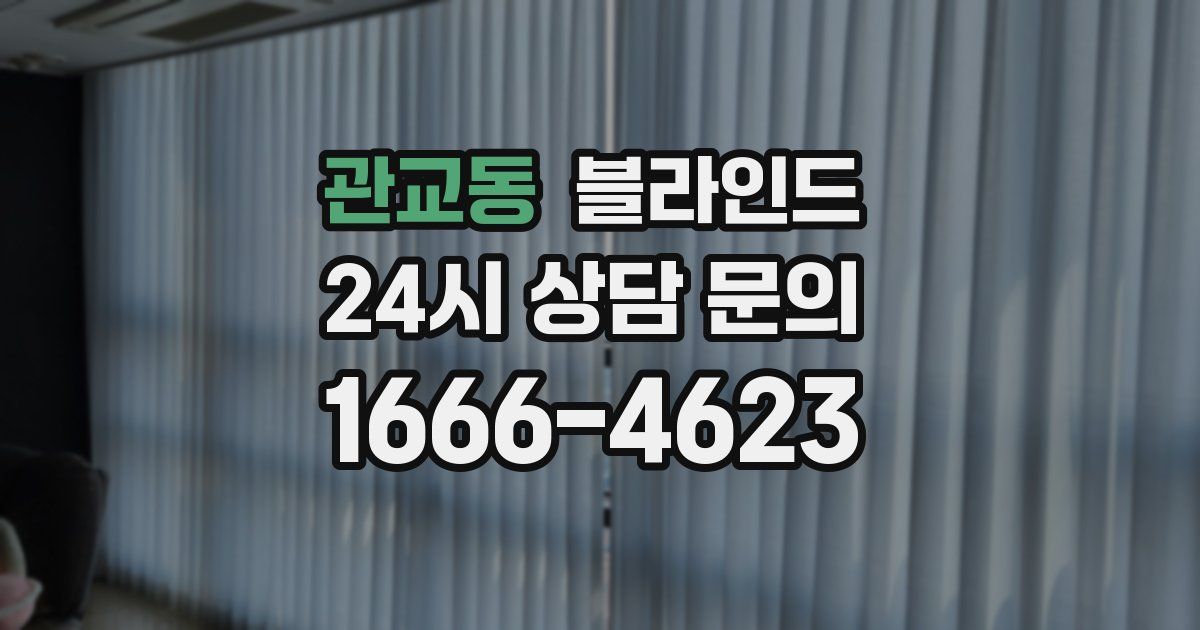 관교동 블라인드